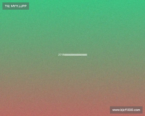 2018埃弗顿英超征程全记录激情挑战与荣耀时刻