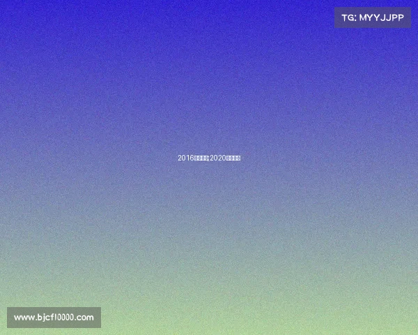 2016汽车赛事;2020汽车赛事