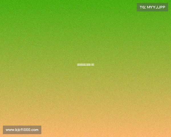 大学商业赛事;大学生 商赛